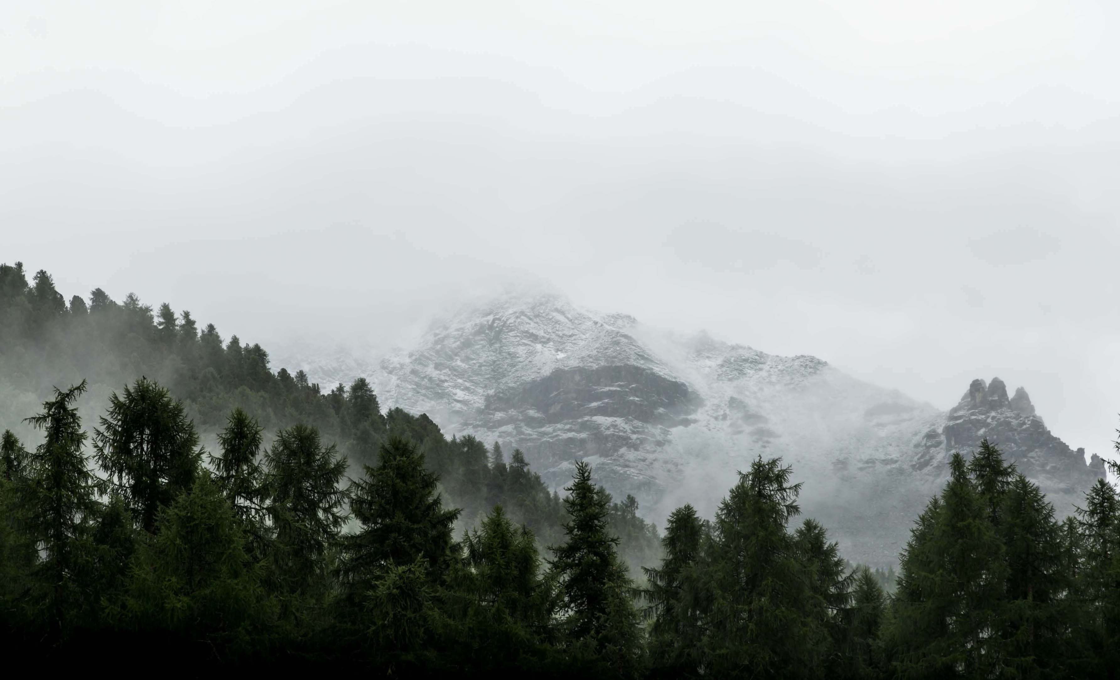 山南见南山的个人主页(背景预览) - 主页背景设置 - 站酷设计师山南见南山原创素材 - 站酷ZCOOL