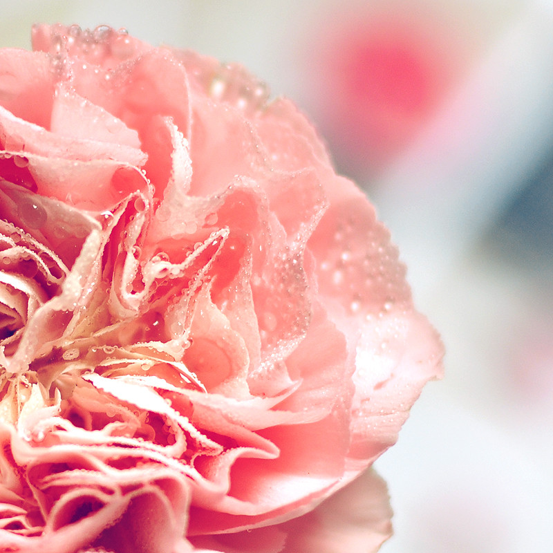 懒喵十四的个人主页（背景预览） - 主页背景设置 - 站酷设计师懒喵十四原创素材 - 站酷ZCOOL