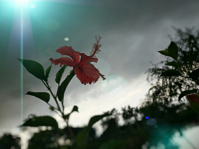 風(fēng)訴我心的個(gè)人主頁（背景預(yù)覽） - 主頁背景設(shè)置 - 站酷設(shè)計(jì)師風(fēng)訴我心原創(chuàng)素材 - 站酷ZCOOL