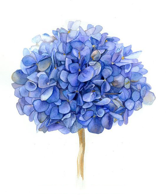 Sunny__Ct的個(gè)人主頁（背景預(yù)覽） - 主頁背景設(shè)置 - 站酷設(shè)計(jì)師Sunny__Ct原創(chuàng)素材 - 站酷ZCOOL