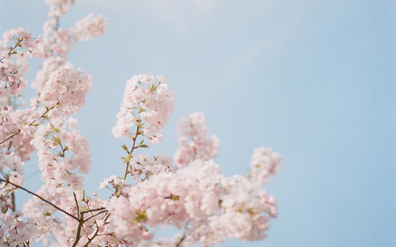 夏日的春天46的个人主页（背景预览） - 主页背景设置 - 站酷设计师夏日的春天46原创素材 - 站酷ZCOOL