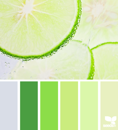 筱筱兔v的个人主页（背景预览） - 主页背景设置 - 站酷设计师筱筱兔v原创素材 - 站酷ZCOOL