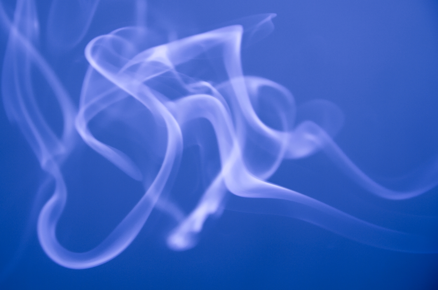 尚卫完呈的个人主页（背景预览） - 主页背景设置 - 站酷设计师尚卫完呈原创素材 - 站酷ZCOOL