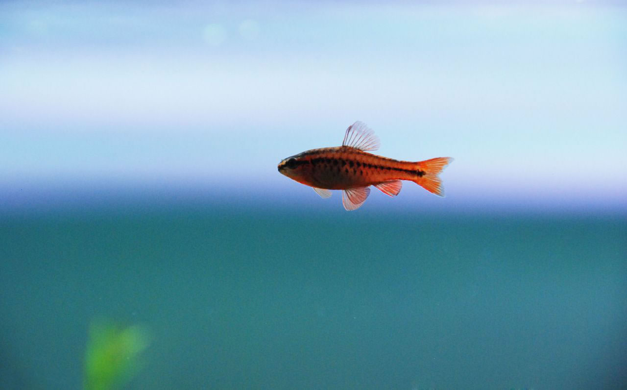 Yune陳的個人主頁（背景預(yù)覽） - 主頁背景設(shè)置 - 站酷設(shè)計師Yune陳原創(chuàng)素材 - 站酷ZCOOL