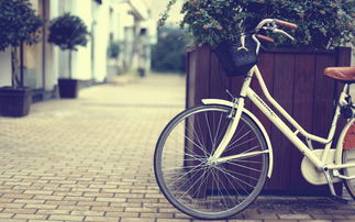 張美紅的個(gè)人主頁(yè)（背景預(yù)覽） - 主頁(yè)背景設(shè)置 - 站酷設(shè)計(jì)師張美紅原創(chuàng)素材 - 站酷ZCOOL