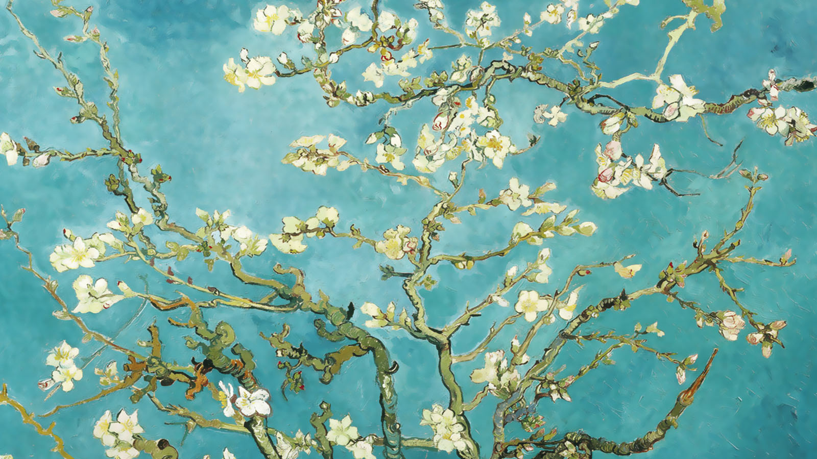 塵唐的個人主頁（背景預覽） - 主頁背景設置 - 站酷設計師塵唐原創(chuàng)素材 - 站酷ZCOOL