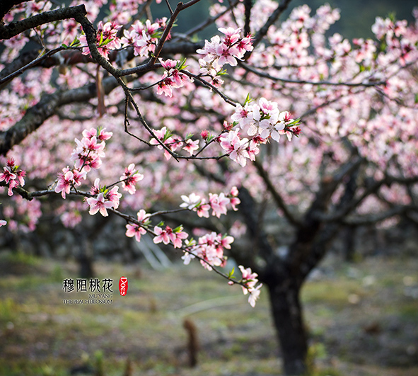 人does人的个人主页（背景预览） - 主页背景设置 - 站酷设计师人does人原创素材 - 站酷ZCOOL
