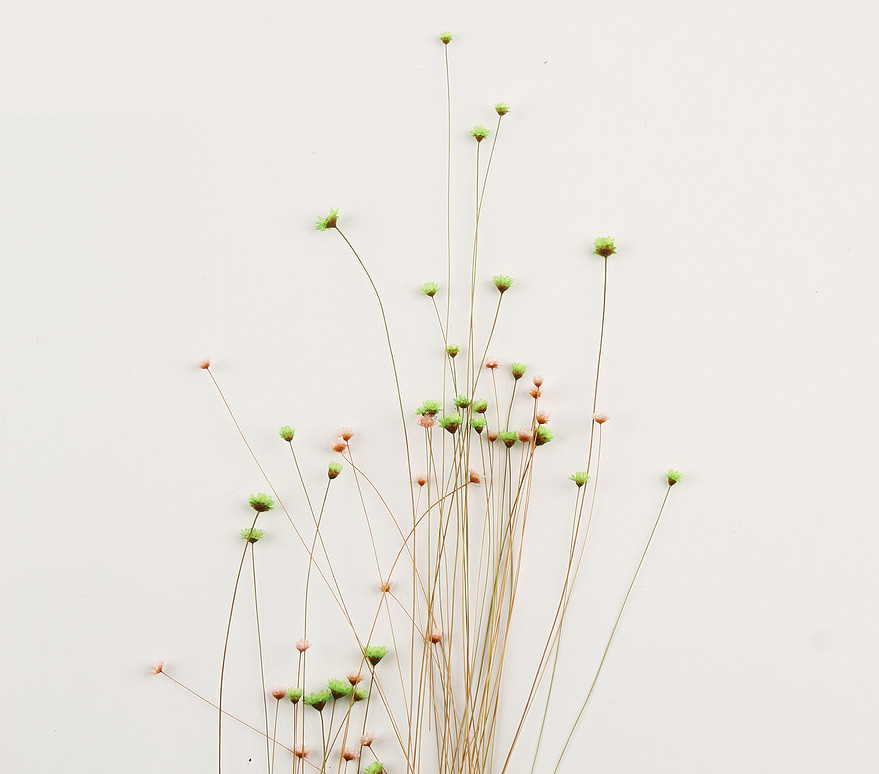 富贵大元宝的个人主页（背景预览） - 主页背景设置 - 站酷设计师富贵大元宝原创素材 - 站酷ZCOOL