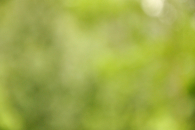 circle2010的个人主页（背景预览） - 主页背景设置 - 站酷设计师circle2010原创素材 - 站酷ZCOOL