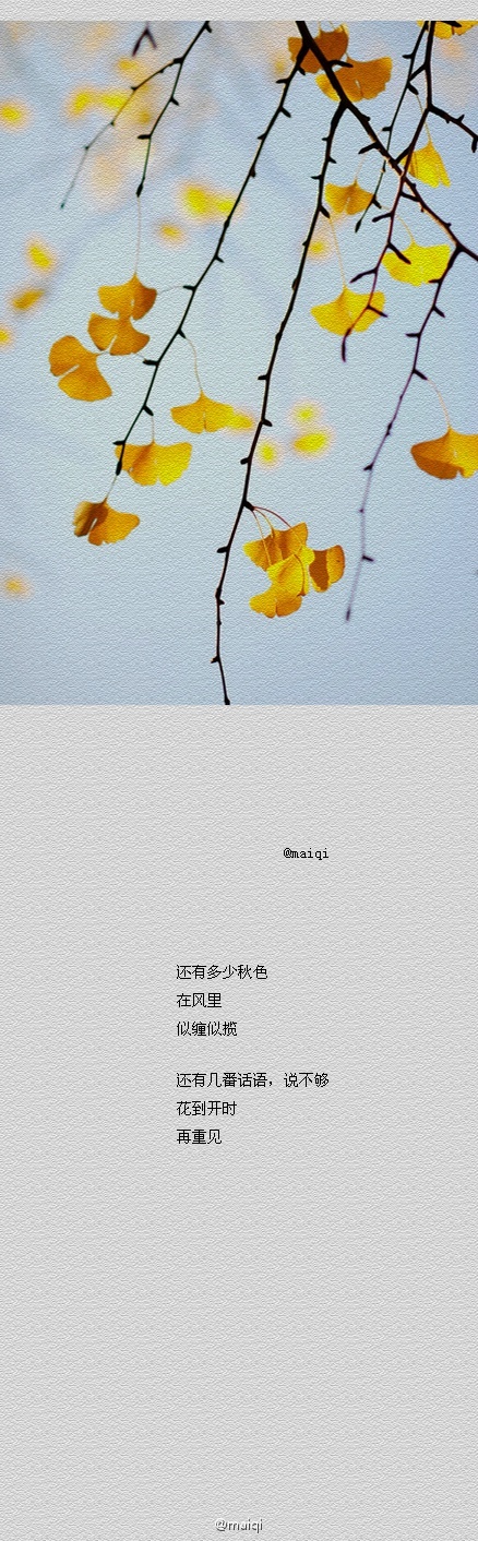 多元桔設(shè)計(jì)的個(gè)人主頁（背景預(yù)覽） - 主頁背景設(shè)置 - 站酷設(shè)計(jì)師多元桔設(shè)計(jì)原創(chuàng)素材 - 站酷ZCOOL