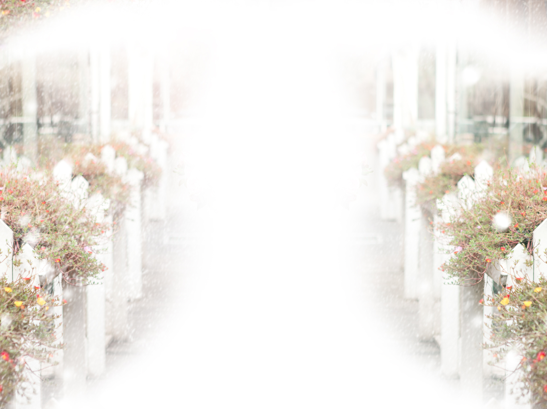 admin小琳的個人主頁（背景預(yù)覽） - 主頁背景設(shè)置 - 站酷設(shè)計師admin小琳原創(chuàng)素材 - 站酷ZCOOL