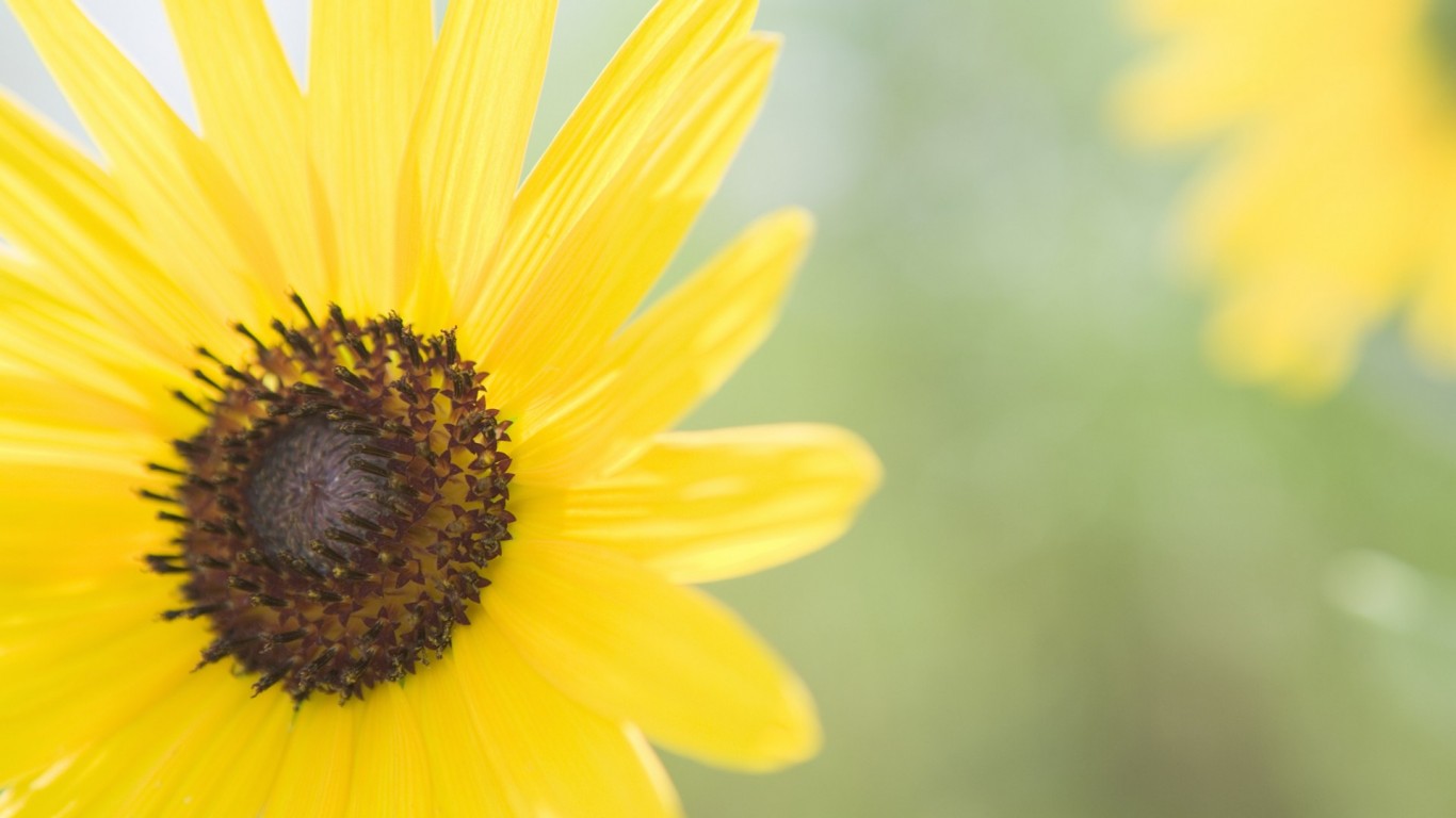 Hello小七的个人主页（背景预览） - 主页背景设置 - 站酷设计师Hello小七原创素材 - 站酷ZCOOL