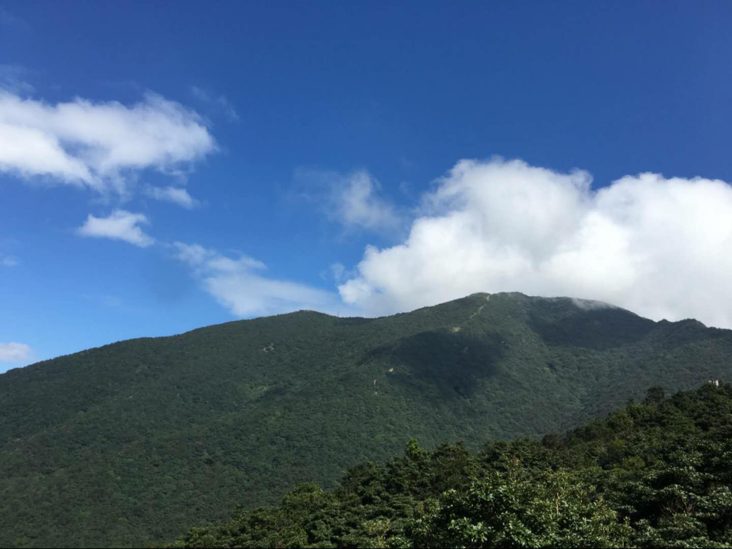 大风车啊的个人主页（背景预览） - 主页背景设置 - 站酷设计师大风车啊原创素材 - 站酷ZCOOL