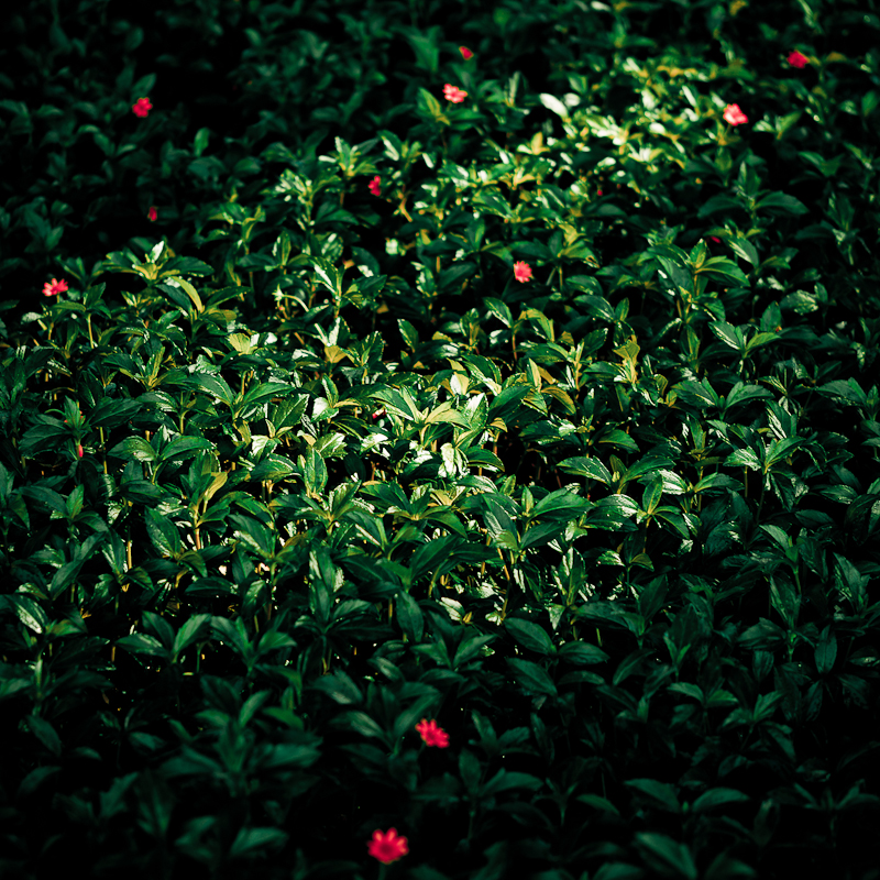 AdamHung的个人主页（背景预览） - 主页背景设置 - 站酷设计师AdamHung原创素材 - 站酷ZCOOL