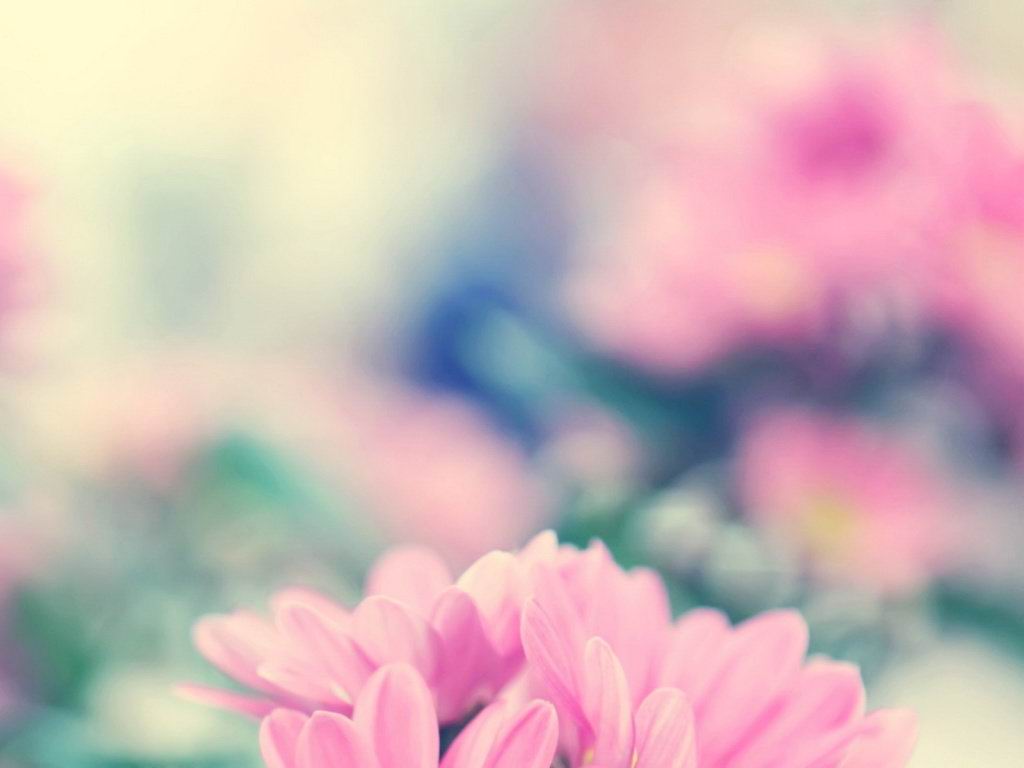 捻一页素念的个人主页（背景预览） - 主页背景设置 - 站酷设计师捻一页素念原创素材 - 站酷ZCOOL