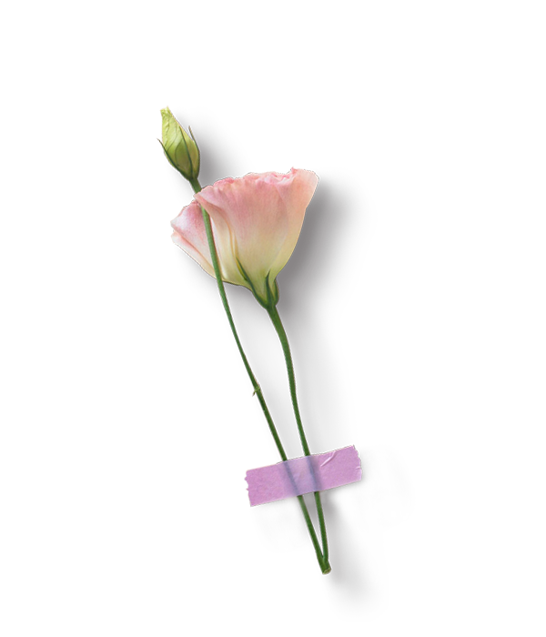 仰望6668的個人主頁（背景預(yù)覽） - 主頁背景設(shè)置 - 站酷設(shè)計(jì)師仰望6668原創(chuàng)素材 - 站酷ZCOOL