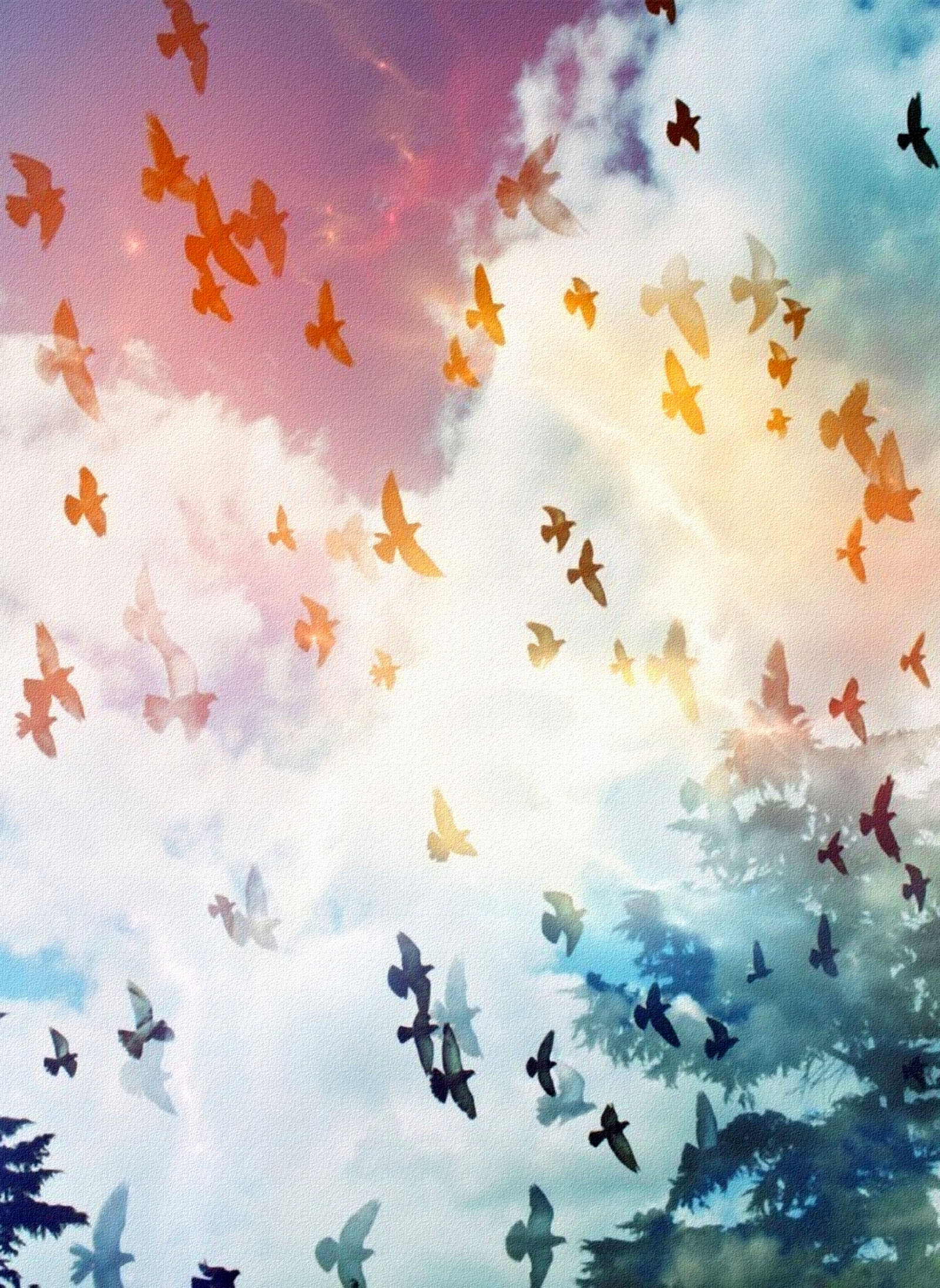 AsKiWi的个人主页（背景预览） - 主页背景设置 - 站酷设计师AsKiWi原创素材 - 站酷ZCOOL