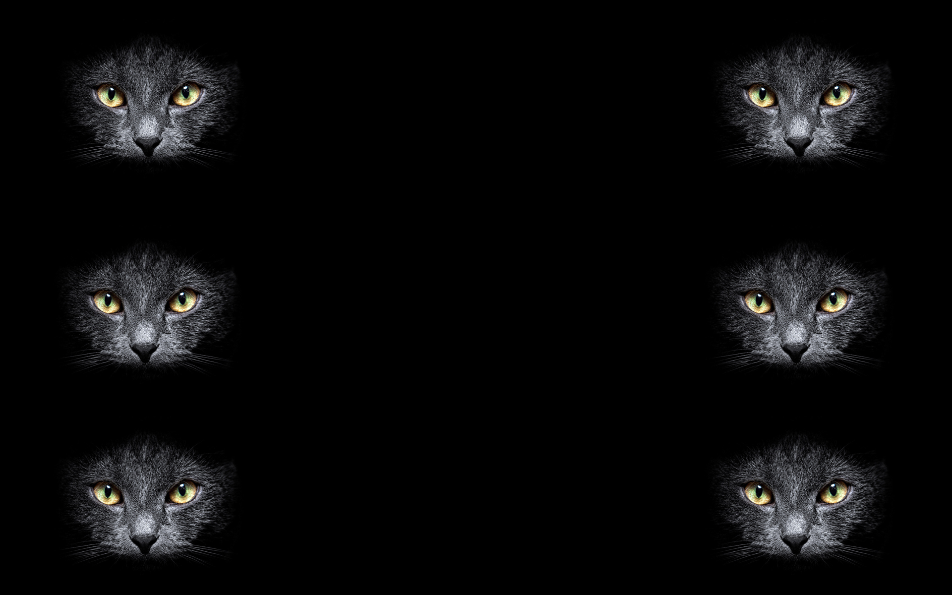 晴天仔仔的个人主页（背景预览） - 主页背景设置 - 站酷设计师晴天仔仔原创素材 - 站酷ZCOOL