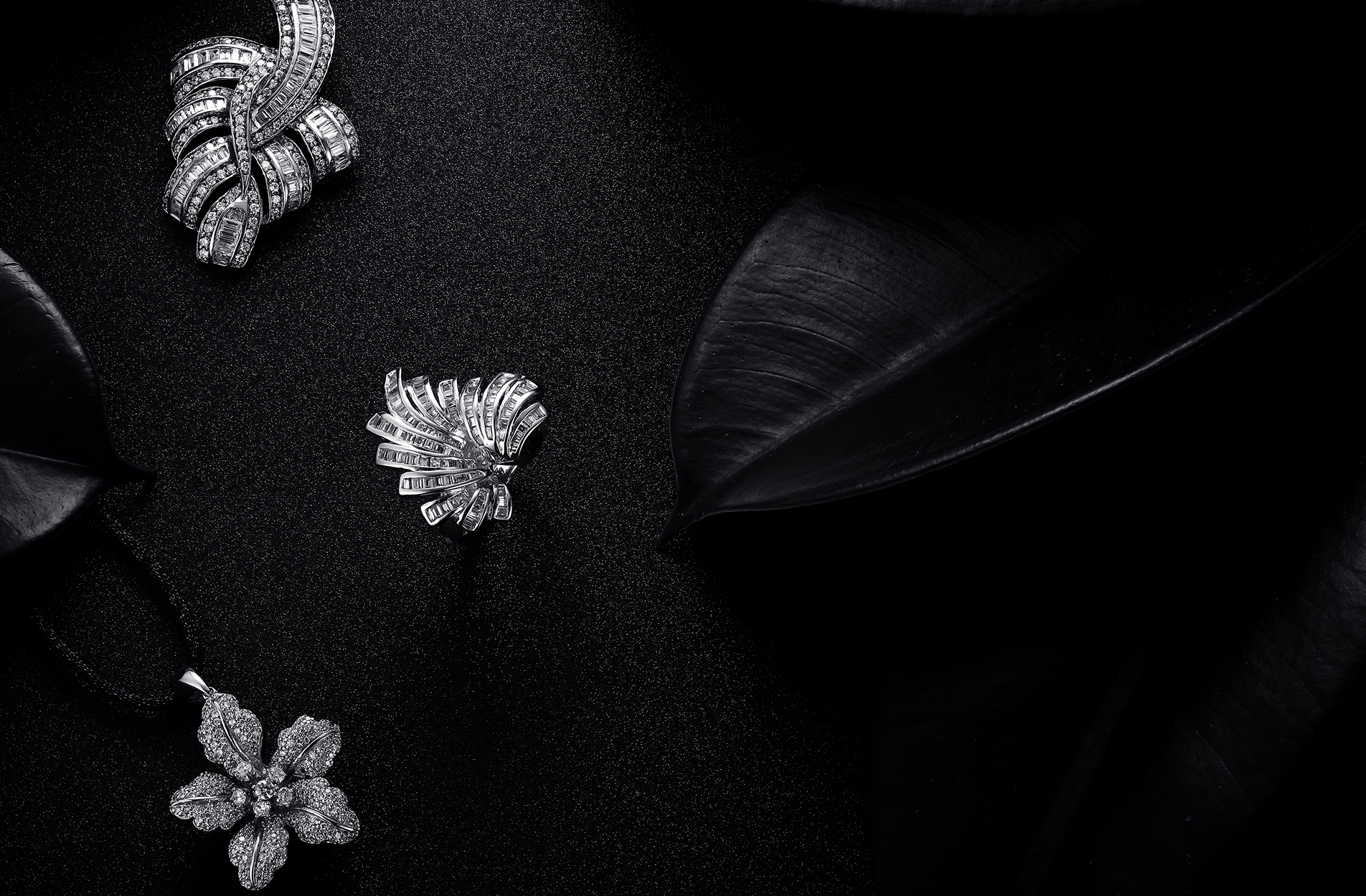 小州_WL的个人主页（背景预览） - 主页背景设置 - 站酷设计师小州_WL原创素材 - 站酷ZCOOL