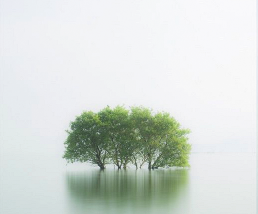 小师叔白又白的个人主页（背景预览） - 主页背景设置 - 站酷设计师小师叔白又白原创素材 - 站酷ZCOOL