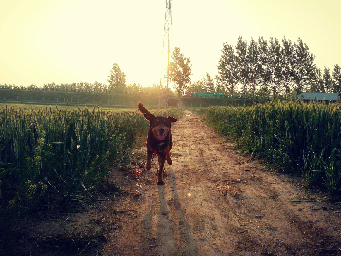 Tenderness丶Wcy的个人主页（背景预览） - 主页背景设置 - 站酷设计师Tenderness丶Wcy原创素材 - 站酷ZCOOL