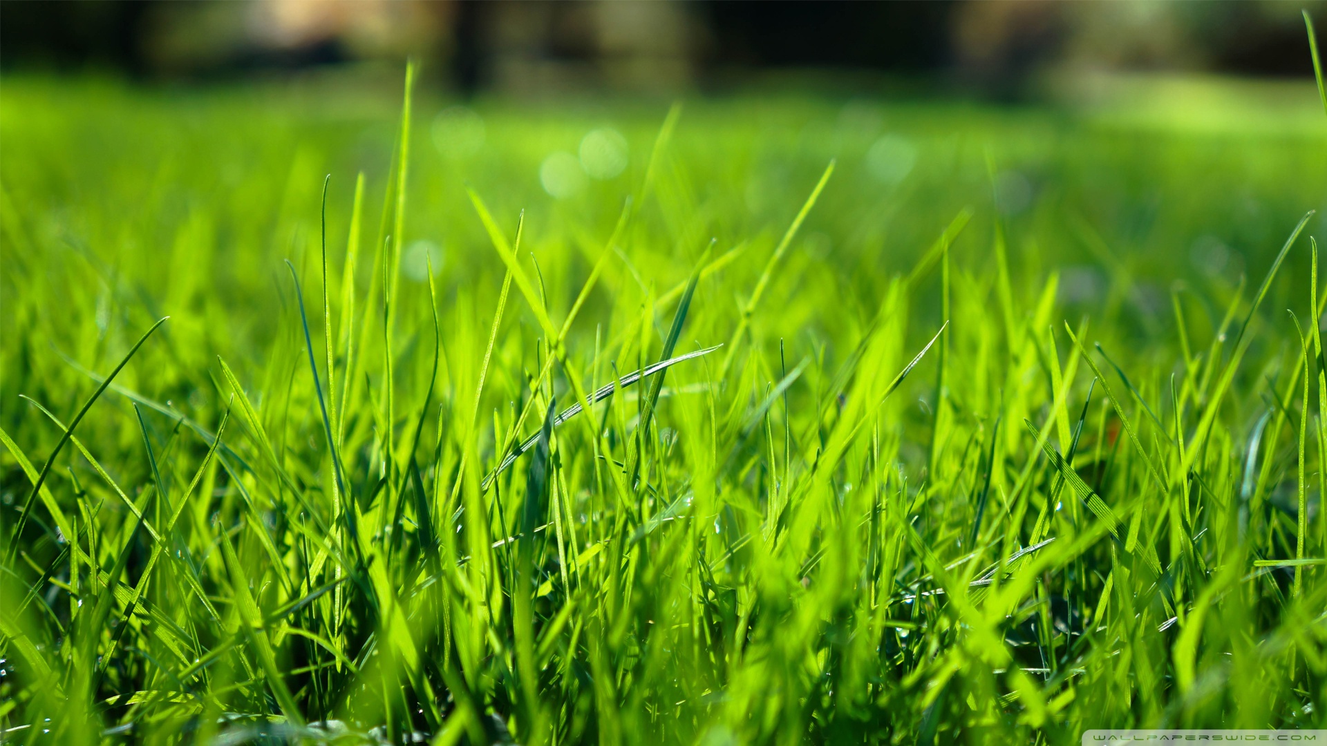 低調(diào)jcy的個人主頁（背景預(yù)覽） - 主頁背景設(shè)置 - 站酷設(shè)計(jì)師低調(diào)jcy原創(chuàng)素材 - 站酷ZCOOL