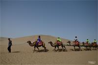 紫蘇and孑孓的個(gè)人主頁(yè)（背景預(yù)覽） - 主頁(yè)背景設(shè)置 - 站酷設(shè)計(jì)師紫蘇and孑孓原創(chuàng)素材 - 站酷ZCOOL