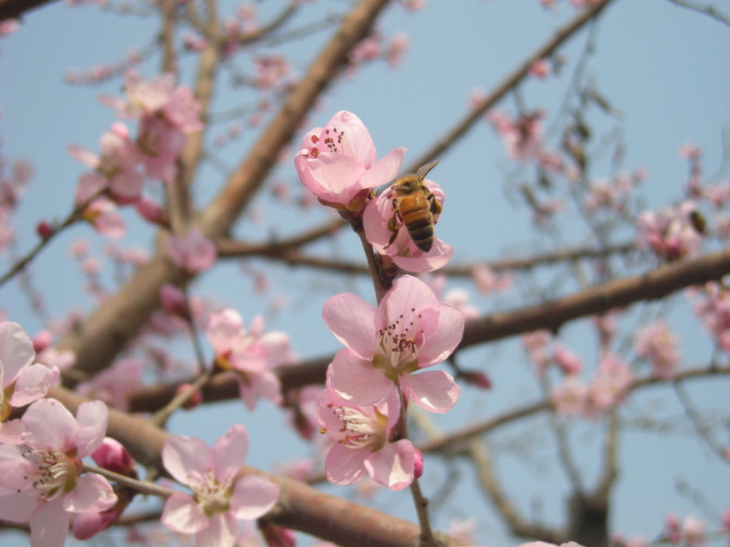 Tinysa_的个人主页（背景预览） - 主页背景设置 - 站酷设计师Tinysa_原创素材 - 站酷ZCOOL