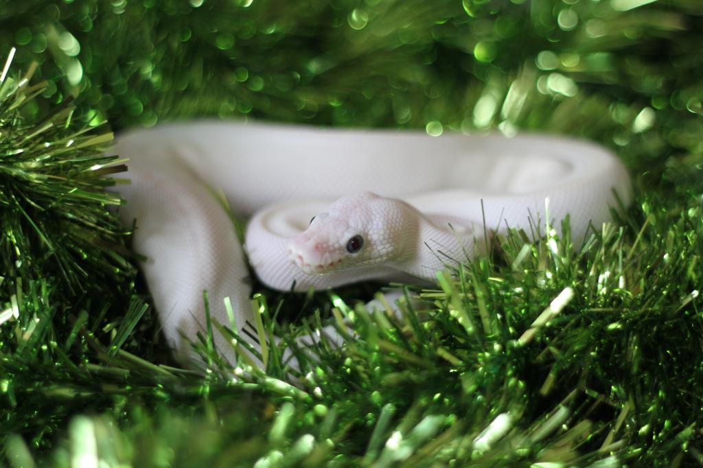 jy02455004的个人主页（背景预览） - 主页背景设置 - 站酷设计师jy02455004原创素材 - 站酷ZCOOL