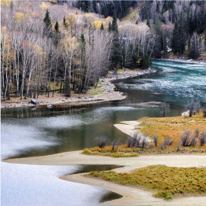 楊YQC的個(gè)人主頁（背景預(yù)覽） - 主頁背景設(shè)置 - 站酷設(shè)計(jì)師楊YQC原創(chuàng)素材 - 站酷ZCOOL