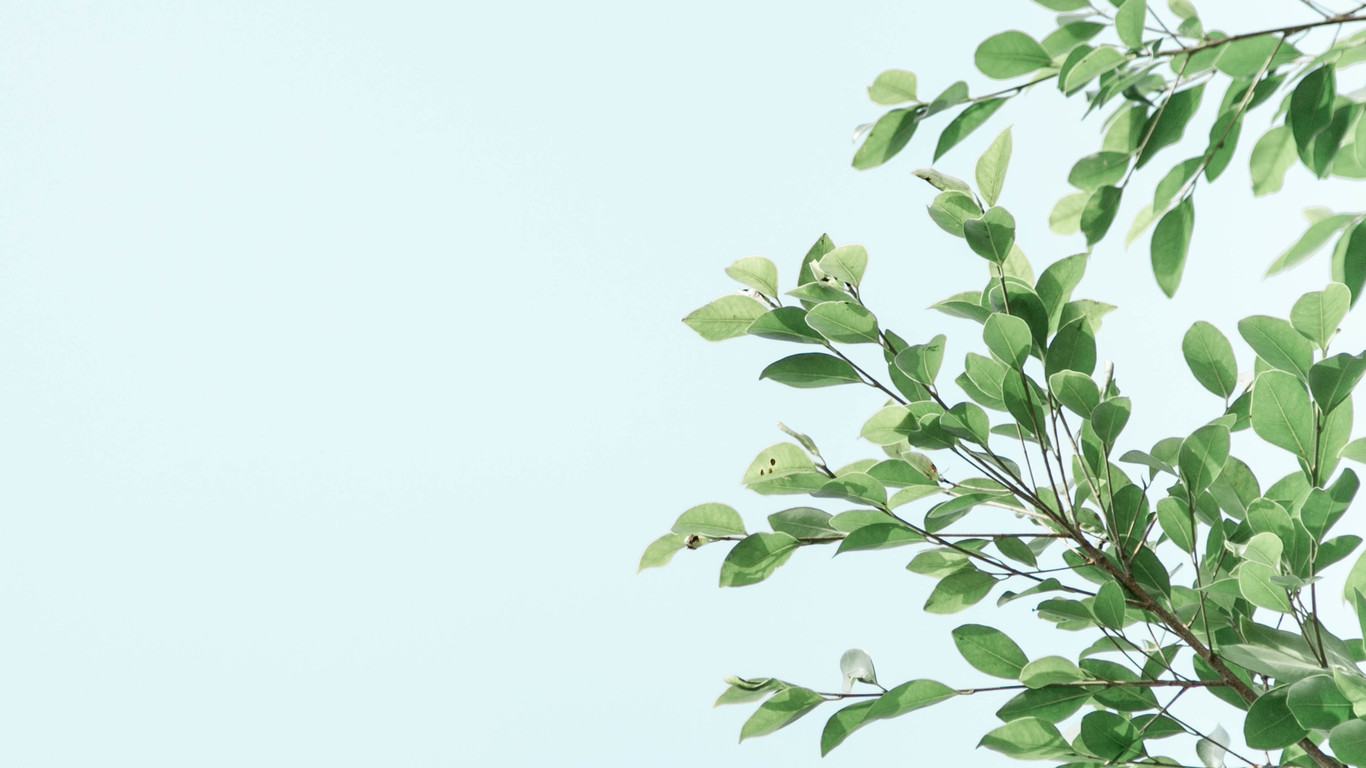 一朵雲的个人主页（背景预览） - 主页背景设置 - 站酷设计师一朵雲原创素材 - 站酷ZCOOL