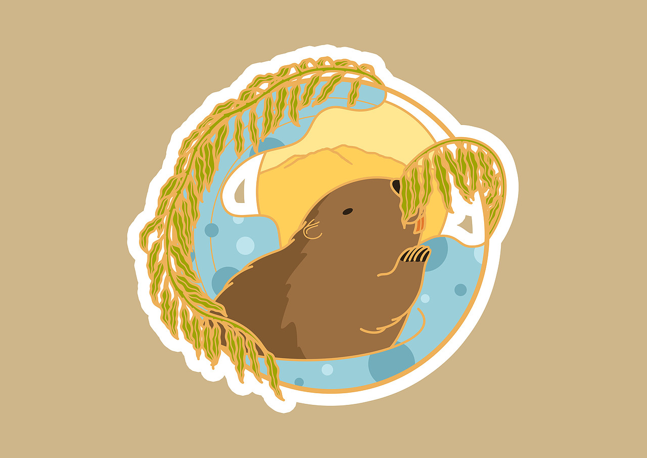 【珍稀动物100】蒙新河狸插画·文创延展