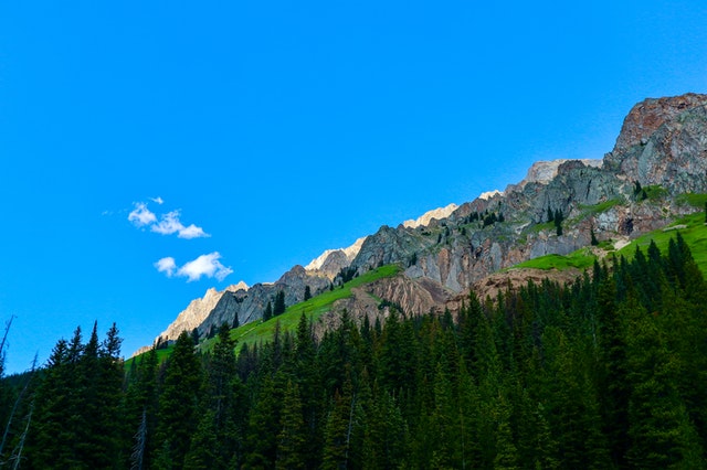 貍花hilary的個(gè)人主頁(yè)（背景預(yù)覽） - 主頁(yè)背景設(shè)置 - 站酷設(shè)計(jì)師貍花hilary原創(chuàng)素材 - 站酷ZCOOL