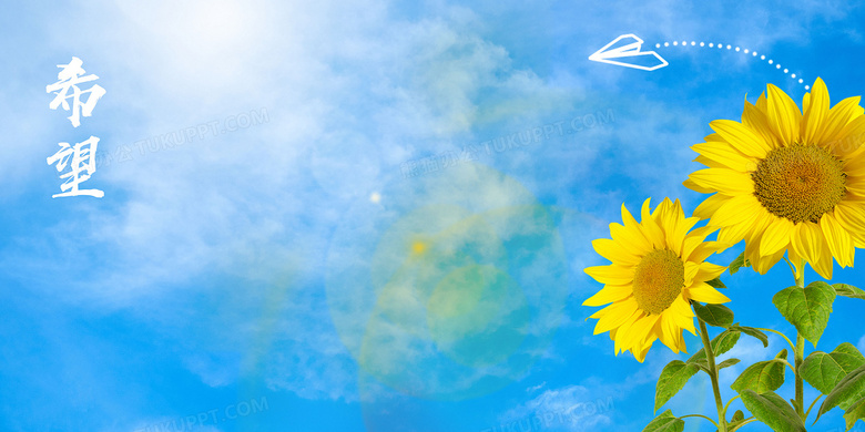 大小王喽的个人主页（背景预览） - 主页背景设置 - 站酷设计师大小王喽原创素材 - 站酷ZCOOL