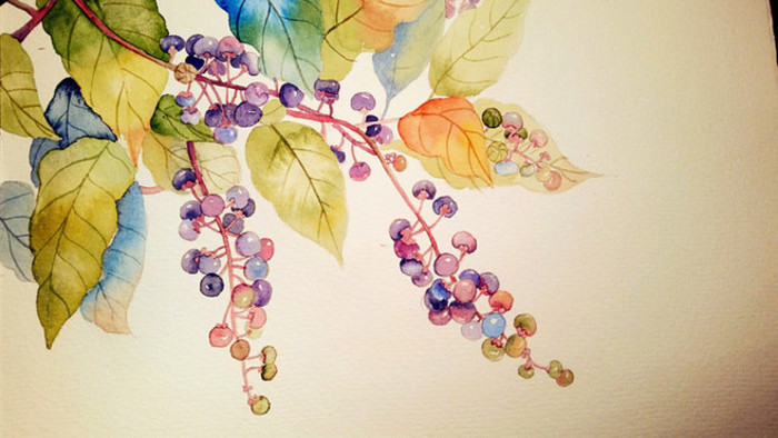 NLY辣不死的猫的个人主页（背景预览） - 主页背景设置 - 站酷设计师NLY辣不死的猫原创素材 - 站酷ZCOOL