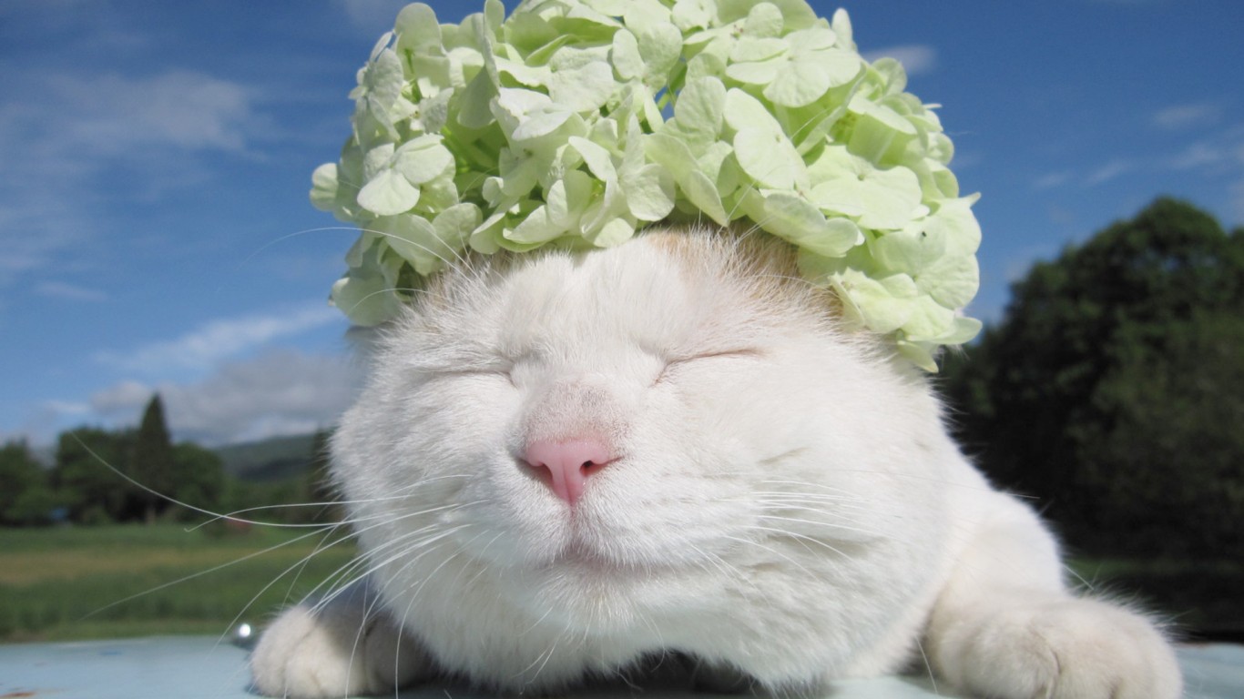 Yan__Z的个人主页（背景预览） - 主页背景设置 - 站酷设计师Yan__Z原创素材 - 站酷ZCOOL