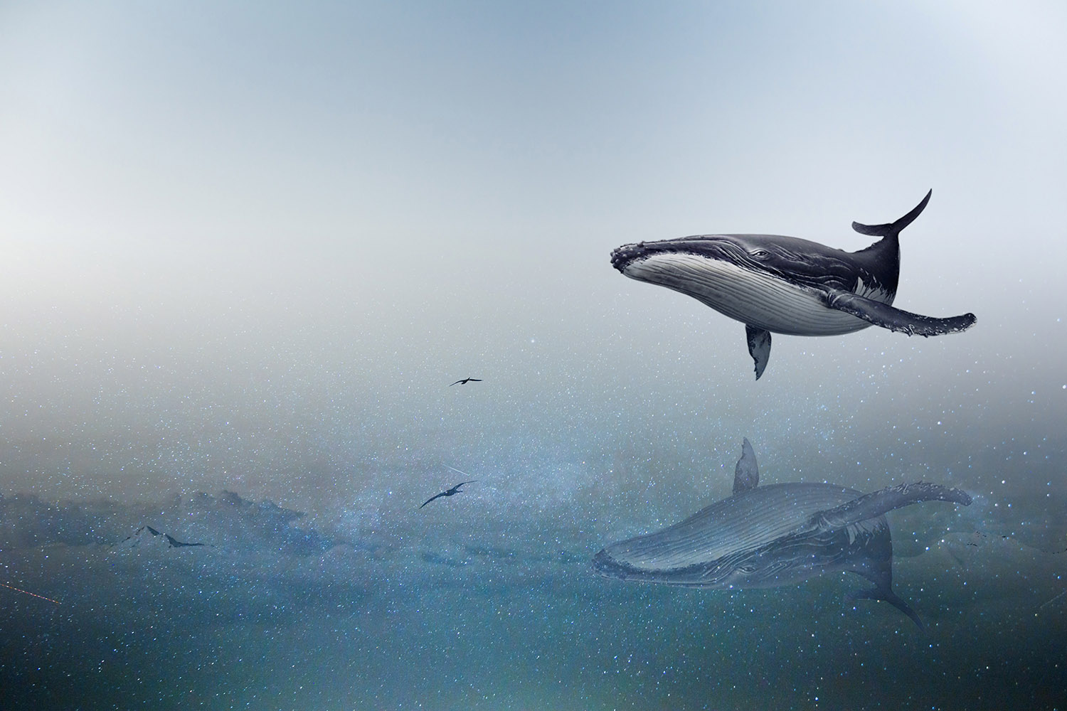 杀猪手爱德华的个人主页（背景预览） - 主页背景设置 - 站酷设计师杀猪手爱德华原创素材 - 站酷ZCOOL