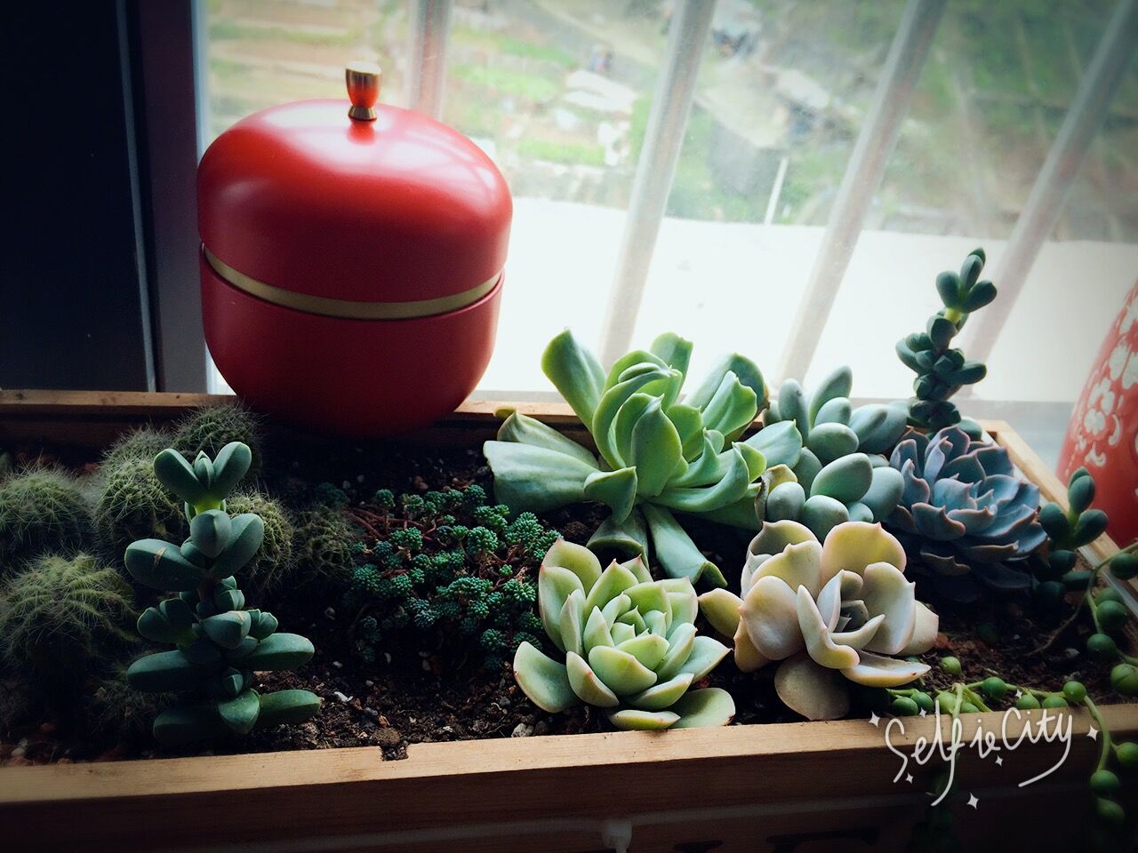 六函的個(gè)人主頁（背景預(yù)覽） - 主頁背景設(shè)置 - 站酷設(shè)計(jì)師六函原創(chuàng)素材 - 站酷ZCOOL