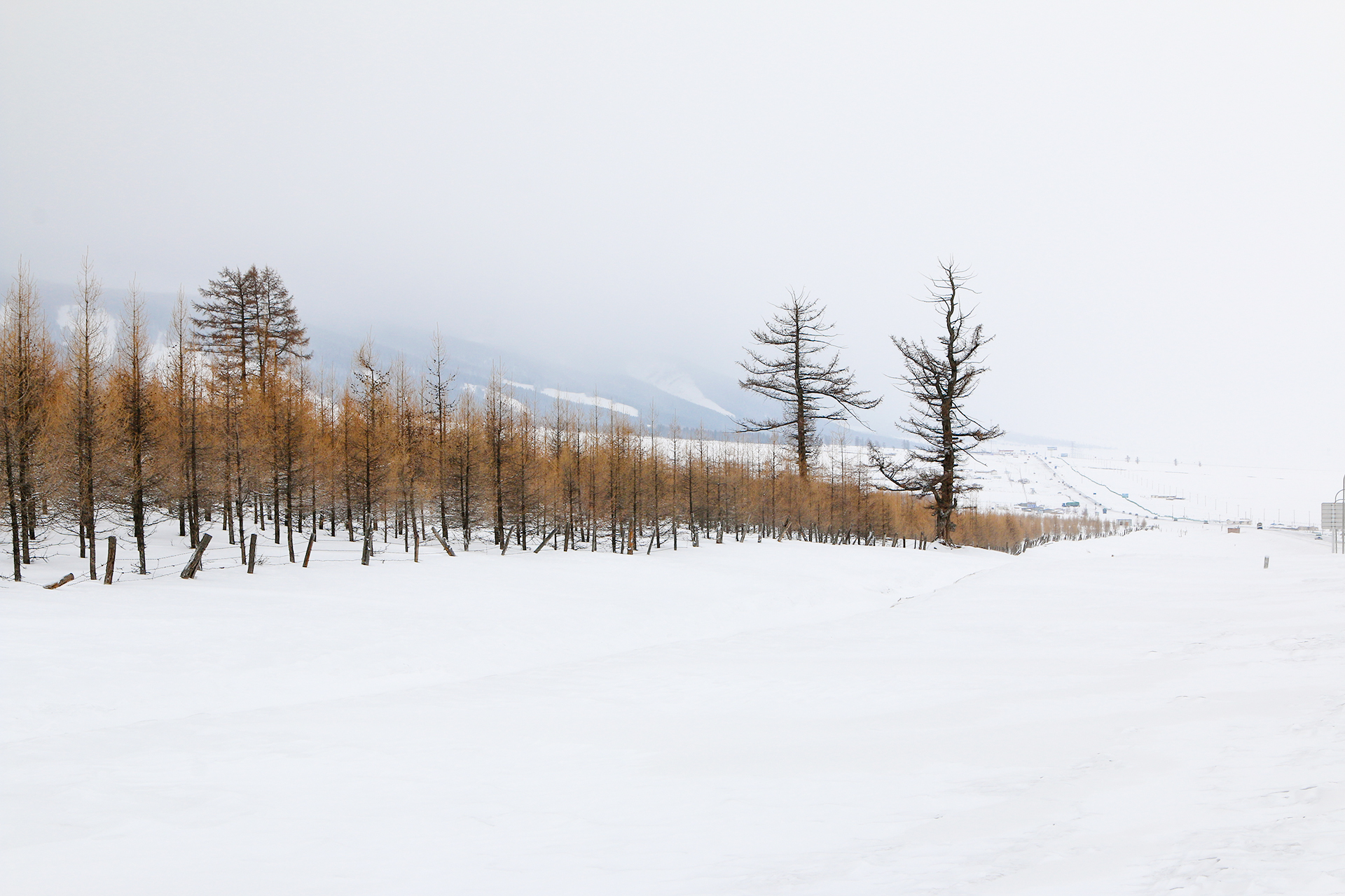 方向向何方的个人主页（背景预览） - 主页背景设置 - 站酷设计师方向向何方原创素材 - 站酷ZCOOL