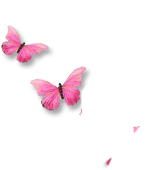 丨kim的个人主页（背景预览） - 主页背景设置 - 站酷设计师丨kim原创素材 - 站酷ZCOOL