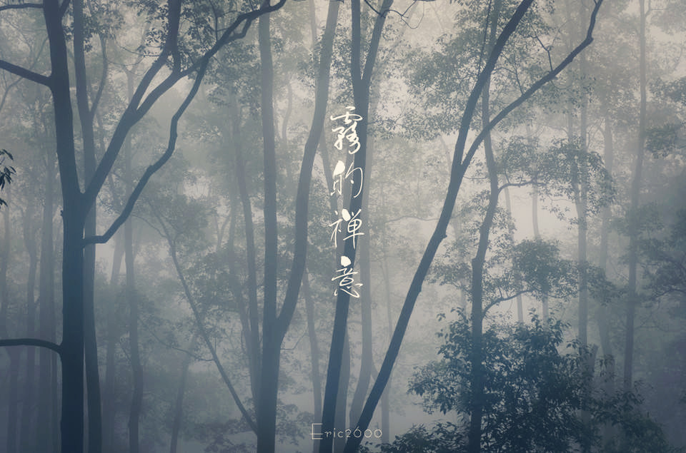 西藏民宿酒店设计的个人主页（背景预览） - 主页背景设置 - 站酷设计师西藏民宿酒店设计原创素材 - 站酷ZCOOL