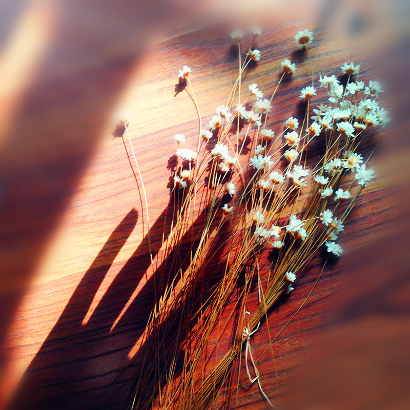 爱吃提子Fiona的个人主页（背景预览） - 主页背景设置 - 站酷设计师爱吃提子Fiona原创素材 - 站酷ZCOOL