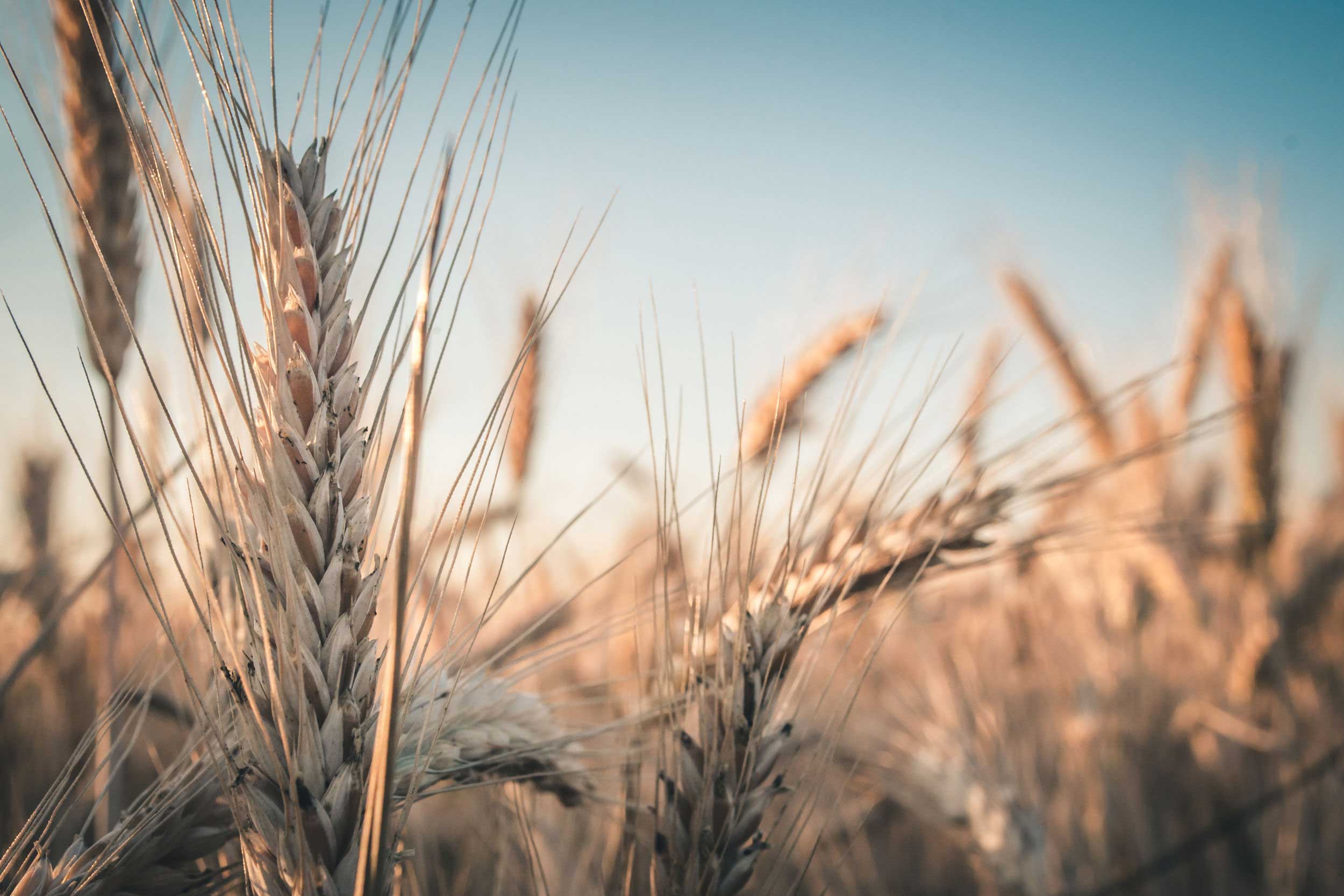 鑫seven的個人主頁（背景預(yù)覽） - 主頁背景設(shè)置 - 站酷設(shè)計師鑫seven原創(chuàng)素材 - 站酷ZCOOL