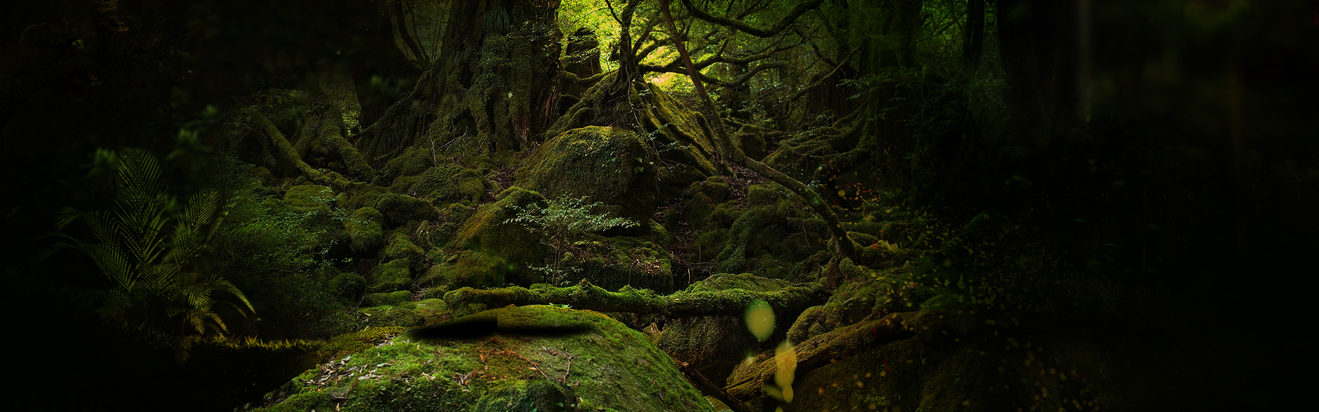 金桔檸檬水的個(gè)人主頁(yè)（背景預(yù)覽） - 主頁(yè)背景設(shè)置 - 站酷設(shè)計(jì)師金桔檸檬水原創(chuàng)素材 - 站酷ZCOOL