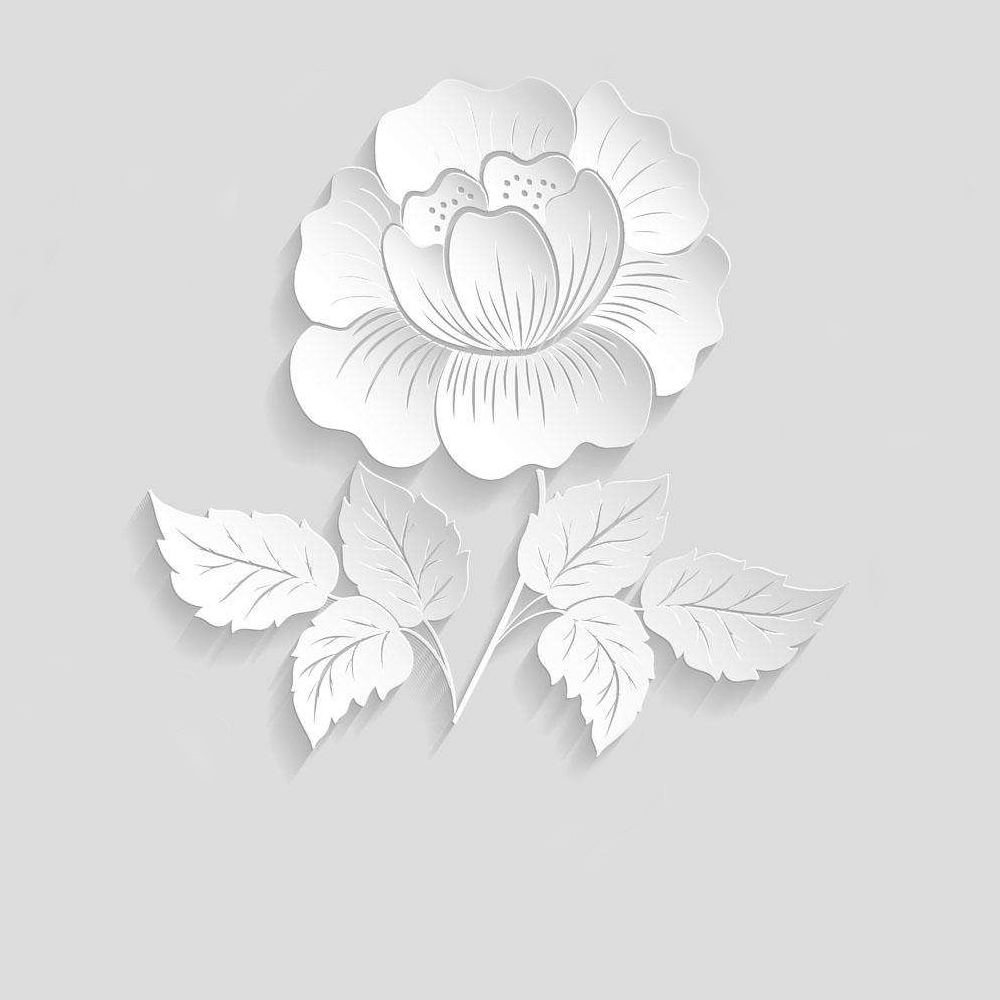 jinfei123195的个人主页（背景预览） - 主页背景设置 - 站酷设计师jinfei123195原创素材 - 站酷ZCOOL