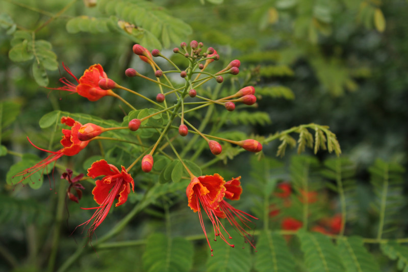 末小磷的个人主页（背景预览） - 主页背景设置 - 站酷设计师末小磷原创素材 - 站酷ZCOOL
