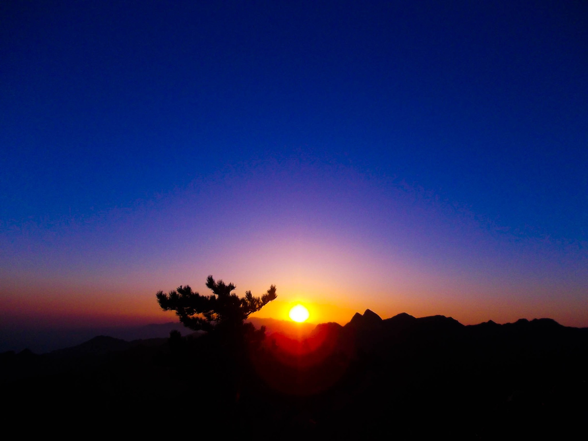 小乔mqf飞了的个人主页（背景预览） - 主页背景设置 - 站酷设计师小乔mqf飞了原创素材 - 站酷ZCOOL