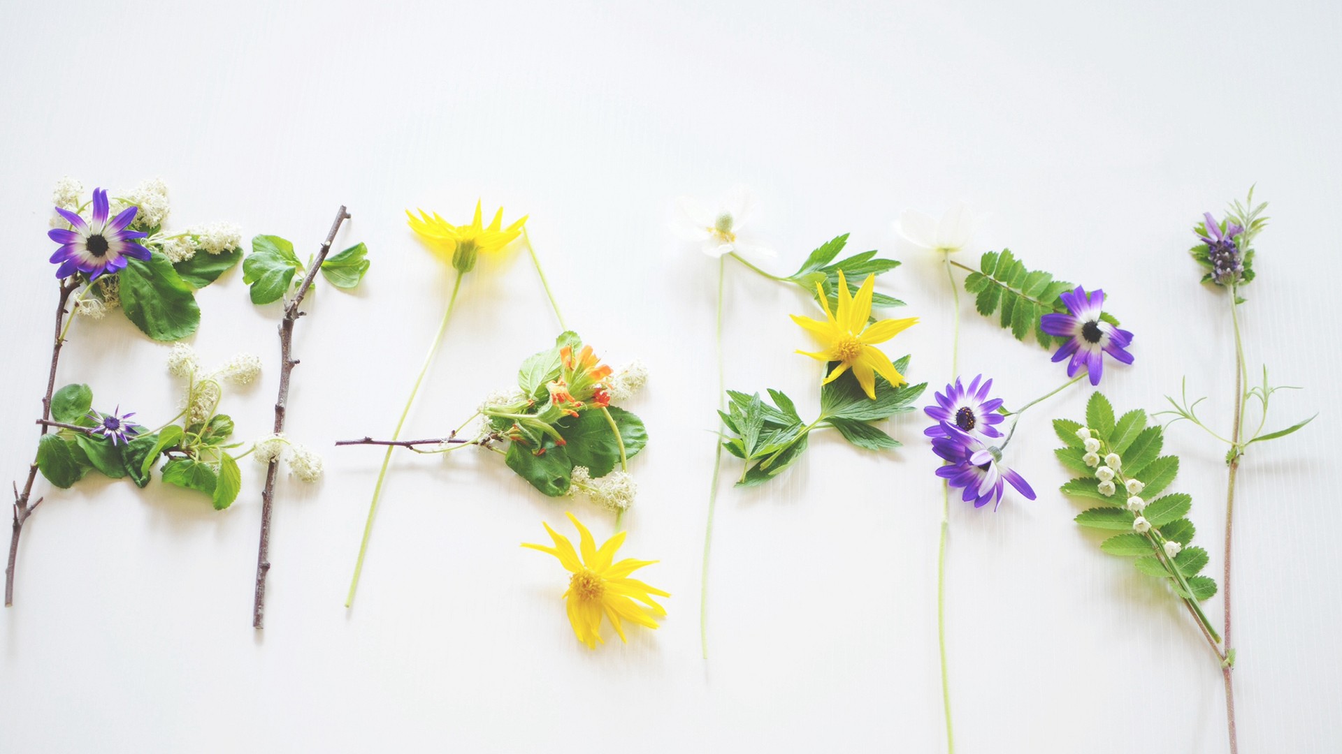 張雅晴女士的個人主頁（背景預(yù)覽） - 主頁背景設(shè)置 - 站酷設(shè)計師張雅晴女士原創(chuàng)素材 - 站酷ZCOOL