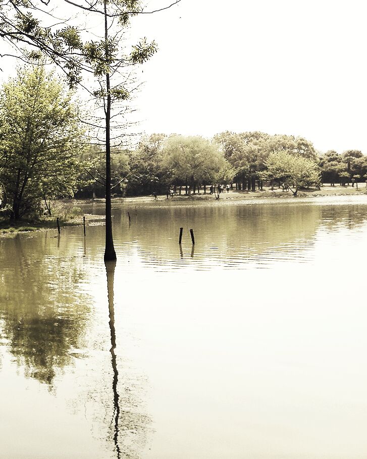 Liang六六的个人主页（背景预览） - 主页背景设置 - 站酷设计师Liang六六原创素材 - 站酷ZCOOL