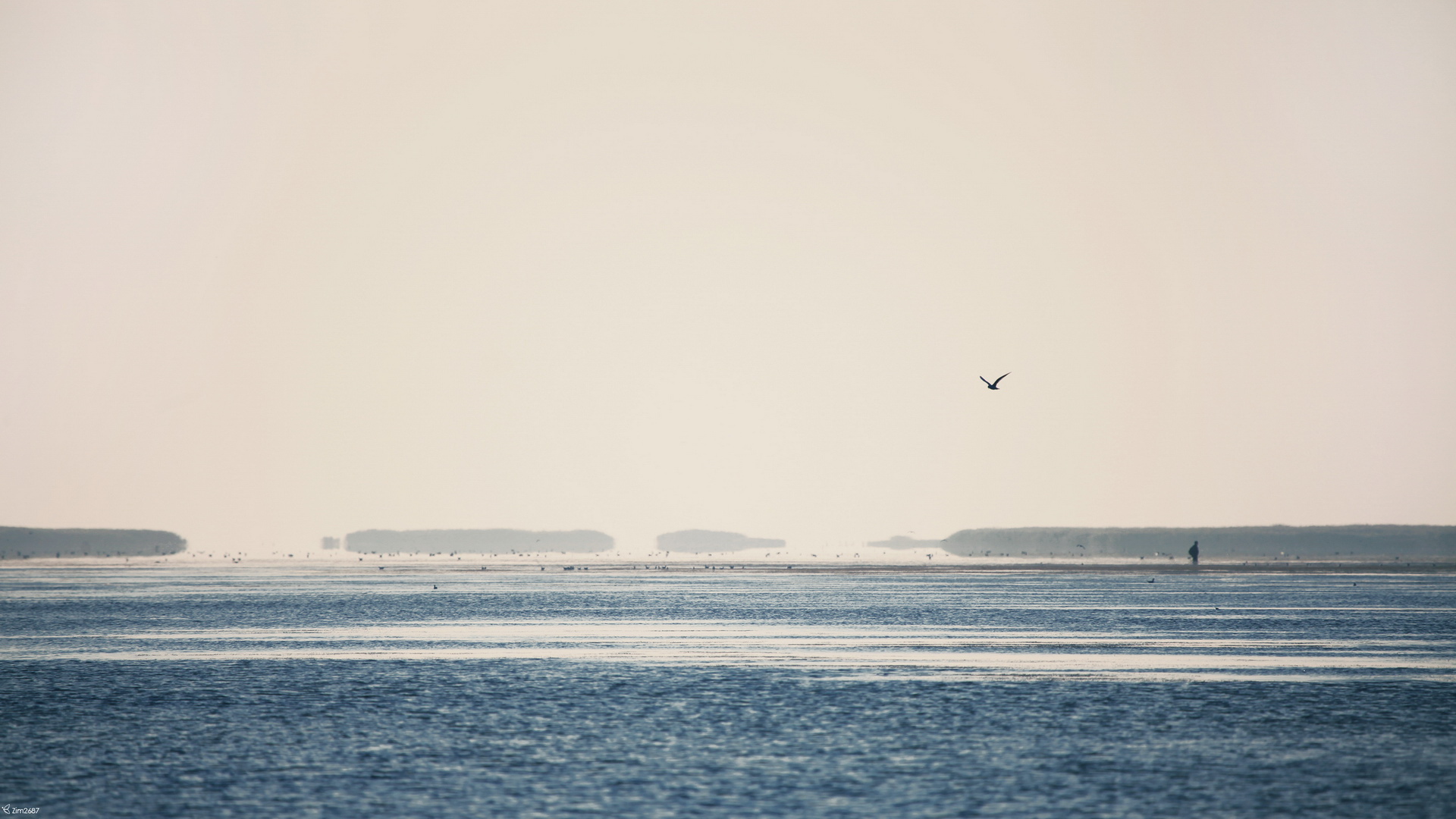 z空vv的個人主頁（背景預(yù)覽） - 主頁背景設(shè)置 - 站酷設(shè)計師z空vv原創(chuàng)素材 - 站酷ZCOOL